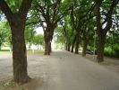 DSC02368.JPG